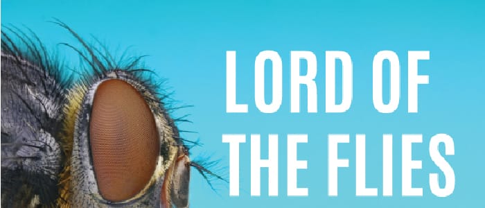 "Lord of the Flies" poster